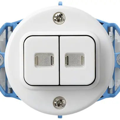 Inserto per pulsante luminoso INC basico 2×A-R/1L bianco 