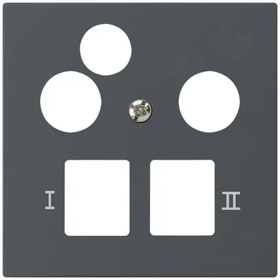 Placca frontale kallysto per R&M HWS antracite 3 fori dati multimedia 