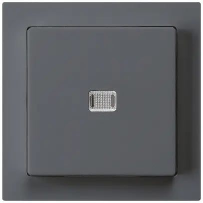 Contact à poussoir lumineux ENC kallysto AR/2P anthracite 