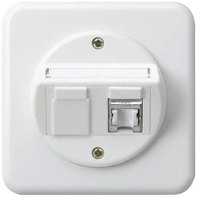 Insert pour prise ENC basico C cat.6 1×RJ45/s sortie oblique blanc 