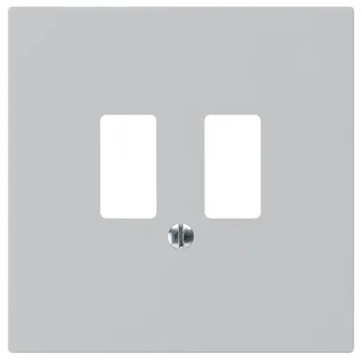 Placca frontale kallysto per presa USB grigio chiaro 