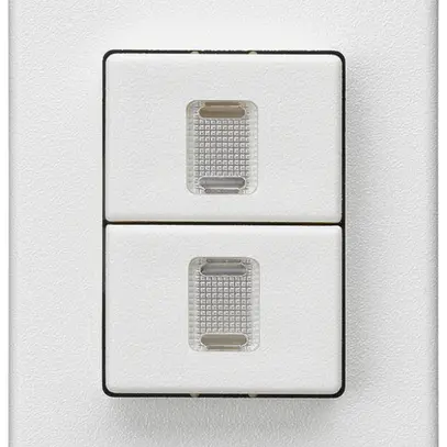 Poussoir double INC Hager FLF 10A/250V 0/1L illuminé blanc 