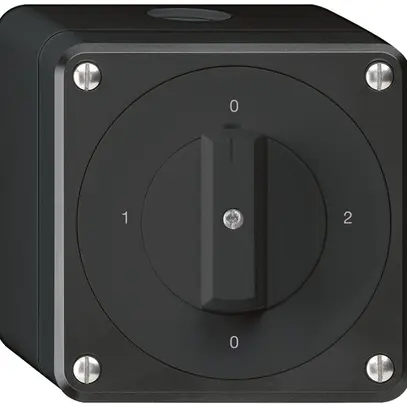 AP-Drehschalter robusto IP55 Schema 2/1P schwarz 