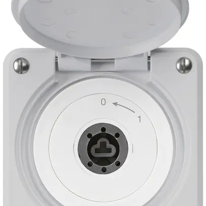 Contatto rotativo a chiave INC robusto IP55 grigio c.coperchio senza cilindro 2P 