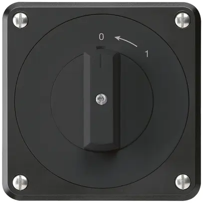 Contact pivotant ENC robusto IP55 ne 2P 