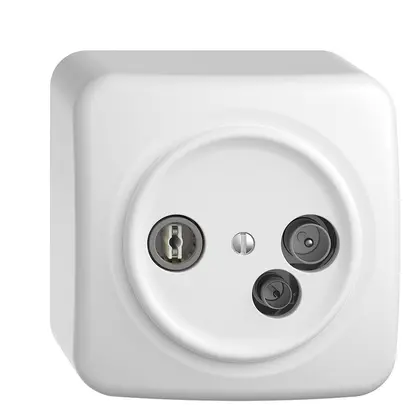 Prise de données AP TV-R DD04 5…65MHz STANDARDdue blanc 