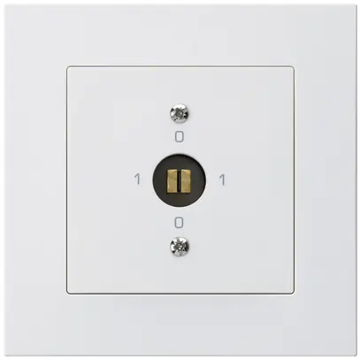 UP-Steckschlüsselschalter kallysto.pro 0/1L weiss 