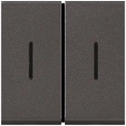 EB-Wipptaster MOS 2×AR 6A magnesium 2 Module 