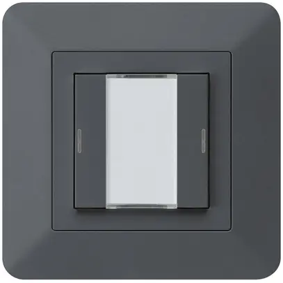 Poussoir ENC kallysto.trend KNX 2×LED RGB s/e-link anthracite 