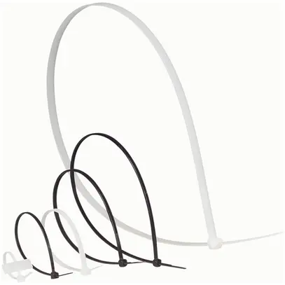 Collier Colring 2.4×95mm transparent avec plaque signalétique 