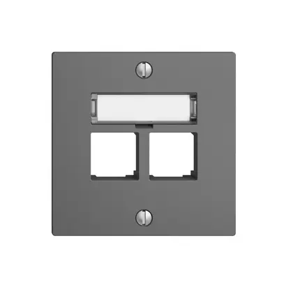 Kit de montage S-One EDIZIOdue F pour 2×RJ45 droite, gris foncé 