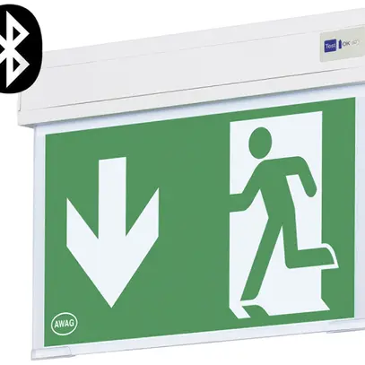 Luminaire de signalisation de secours LED AP AWKS-U-013-WB 5.3W 250×220×34mm 3h 