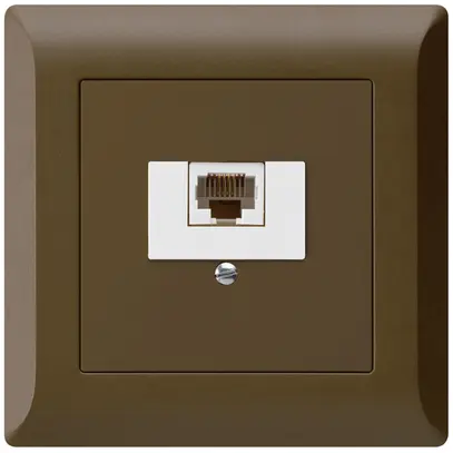 Prise de raccordement INC kallysto.line 1×RJ45u brun 