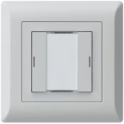 Poussoir ENC kallysto.line KNX 2×LED RGB s/e-link gris clair 