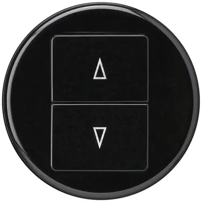 Storentaster basico schwarz mit 2 Funktionstasten Steckklemme 