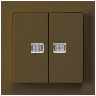 Contact à poussoir lumineux kallysto 2×A-R brun avec 2 lentilles 