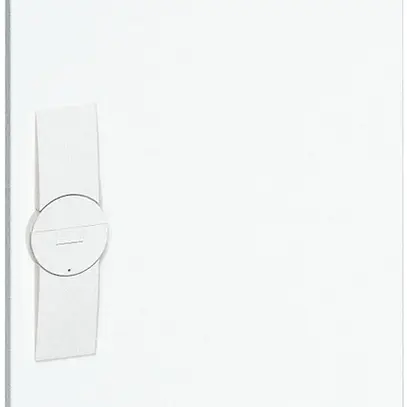 Porte droite Hager univers pour coffret de distribution AP FWB41 650×300mm 