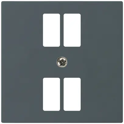 Placca frontale kallysto per presa 4×USB antracite 