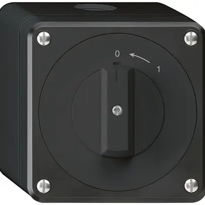 Contatto rotativo AP robusto IP55 nero 2P 