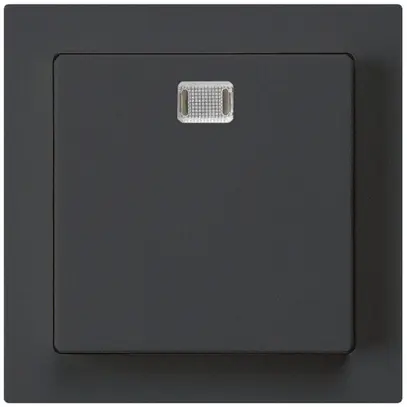 Frontset kallysto 60×60 schwarz für Oekoswitch 