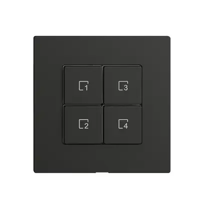 Pulsante scena 4 scene/4T WLAN Edue Wiser nero 