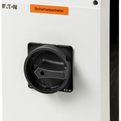 Interruttore principale AP ETN 0/3L 100A 