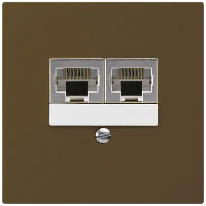 Scatola INC kallysto 2×RJ45s marrone parallelo 