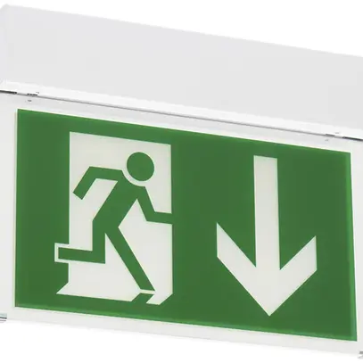 Notleuchte CLED 12 N-230VAC/DC 303×235×44mm 