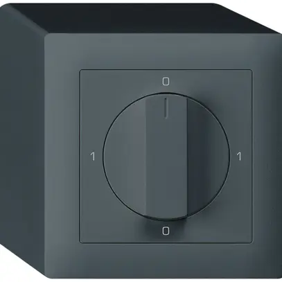 AP-Drehschalter kallysto 2/1L anthrazit 0-A-0-H mit Drehgriff 