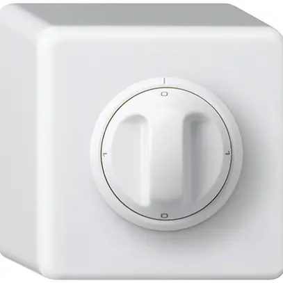 Interruttore rotativo AP basico 0/1L bianco con manopola 