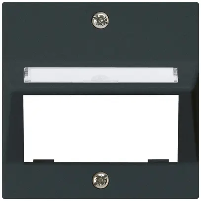 Plaque frontale kallysto pour module multimédia sortie oblique duroplast noir 