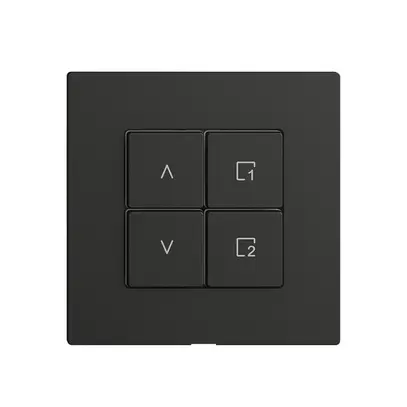 Station secondaire pour interrupteur stores 1c/4t scène WLAN Edue Wiser noir 