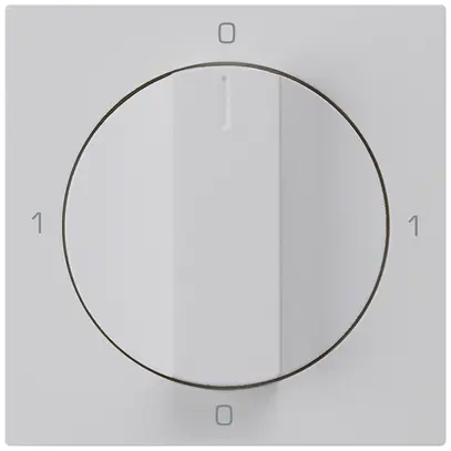Intérieur pour interrupteur rotatif kallysto 0/1L gris clair avec manette 