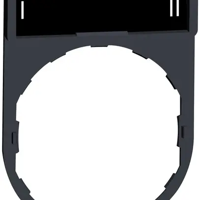 Placchetta Schneider Electric I-II 