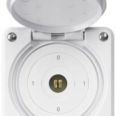 Interruttore a chiave quadrata INC robusto IP55 con coperchio S0/1P bianco 