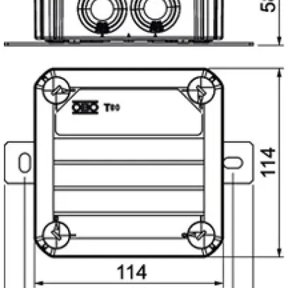 Boîte de dérivation Bettermann FireBox T60ED 06A E30…E90 114×114×58.6mm 5×6mm² 