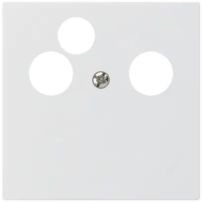 Placca frontale kallysto per R&M HWS bianco 3×coass.dati 