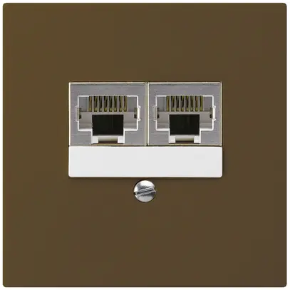 Scatola INC kallysto 2×RJ45s marrone CUC separato 