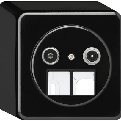 Presa multimedia AP basico TV-R 19dB 2GHz nero 