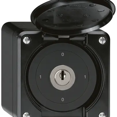 Interruttore a chiave AP robusto IP55 con copertura S0/1P nero 