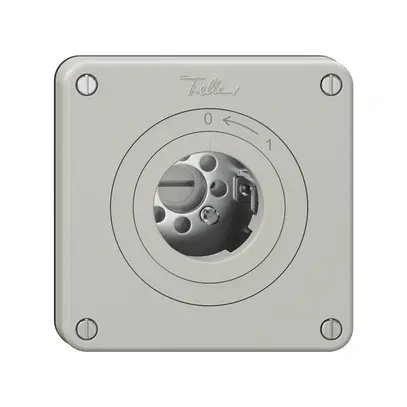 Contact pivotant NEVO, sans cylindre, KS, 0 <- 1, gris clair 