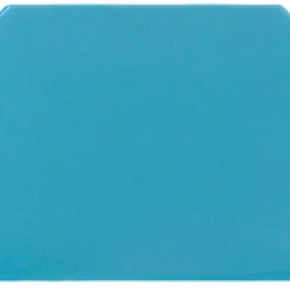 Plaque de fermeture Weidmüller WAP 2.5-10 56×1.5mm bleu 