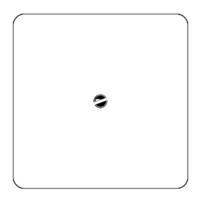 Placca di copertura basico grd.III mat.sint. bianco senza incisione 