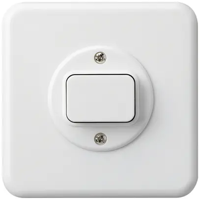 Contact à poussoir ENC basico 1L cc blanc 