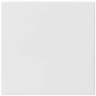 Bouton grand kallysto blanc simple pour interrupteur S3/6+contact 