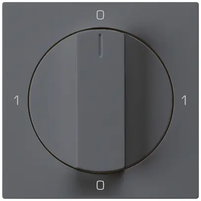 Inserto per interruttore rotativo kallysto 0/1L antracite con manopola 