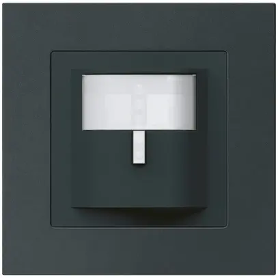 Rilevatore di movimento INC Hager kallysto.pro C stazione secondaria nero 