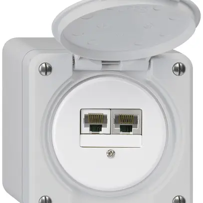 Scatola di raccordo AP robusto IP55 grigio 1×RJ45/s 1×RJ45/u separate 