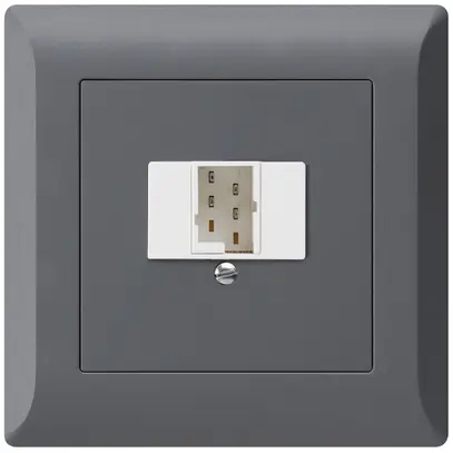 Prise d'enfichage et de raccordement kallysto.line 1×TT83 anthracite 