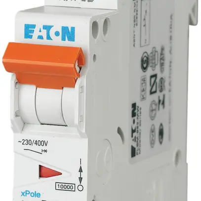 Disjoncteur PLSM-C63 1L 